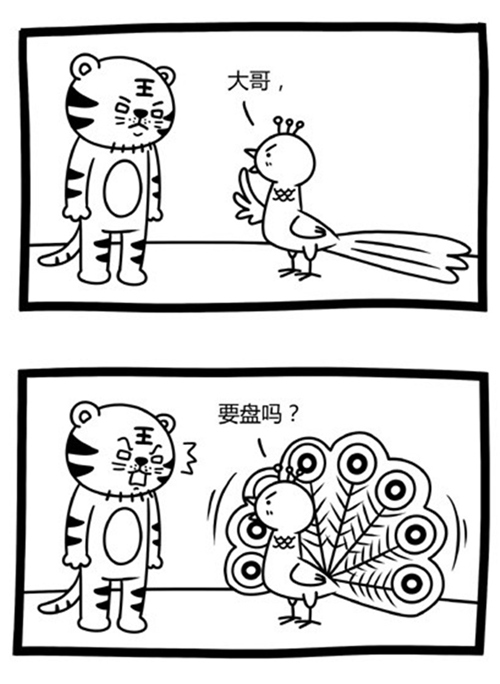 P8.jpg